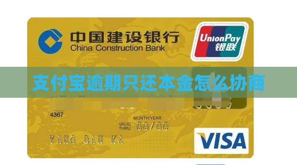 支付宝催收只还本金如何解决