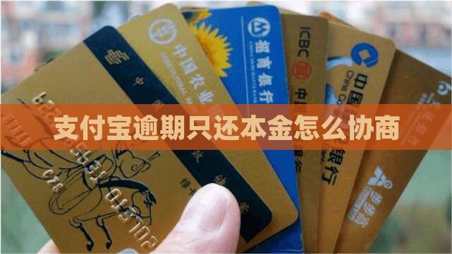 支付宝催收只还本金如何解决