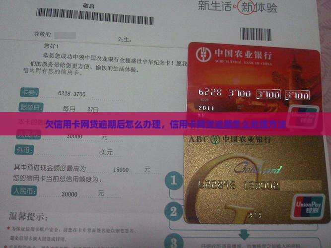 欠信用卡网贷逾期后怎么办