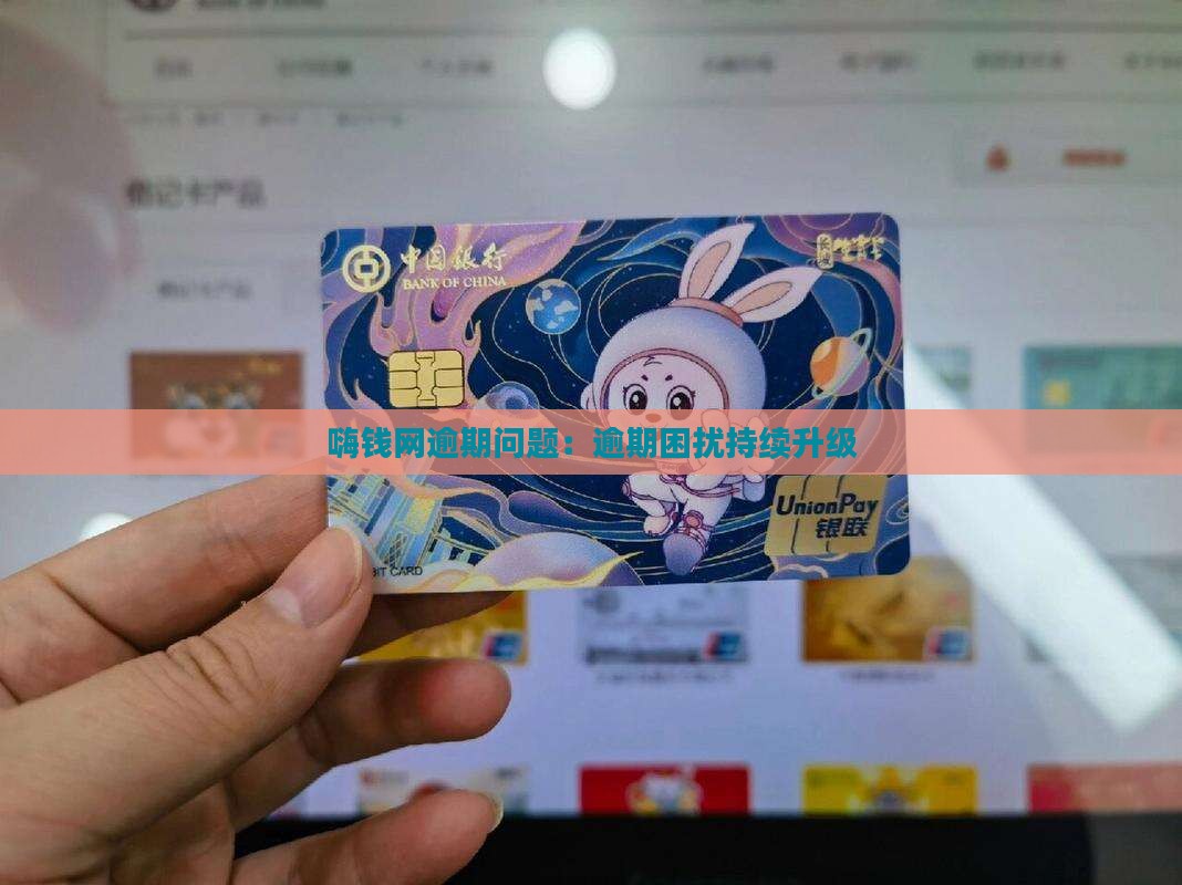 嗨钱网逾期问题