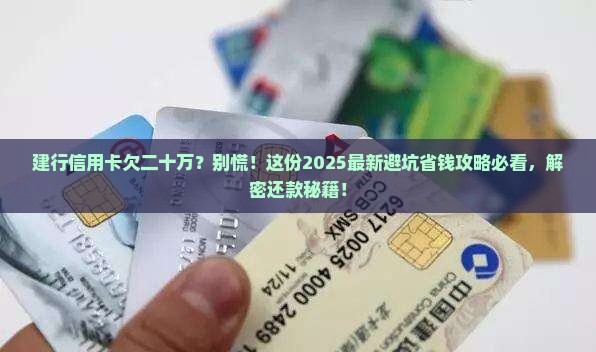 建行信用卡欠二十万该怎么办