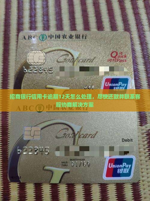 招商银行信用卡逾期12天怎么处理