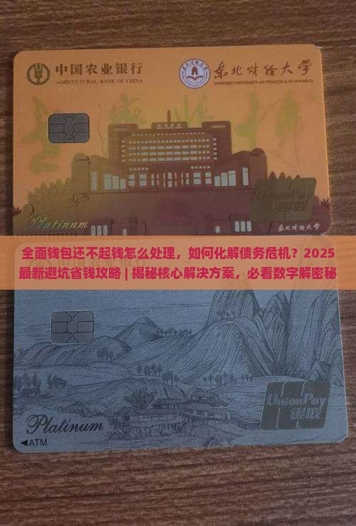 全面钱包还不起钱怎么处理