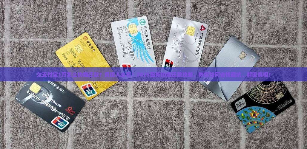 欠支付宝1万怎么协商还款
