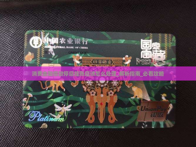 消费金融借款停息挂账应该怎么处理