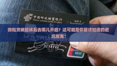 微粒贷被起诉后去哪里开庭