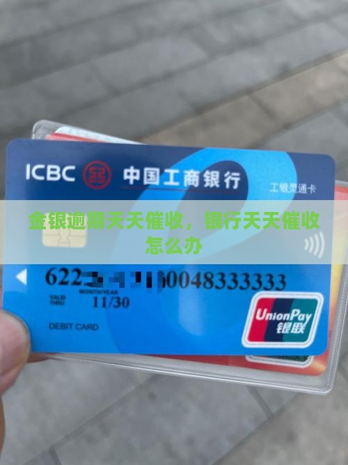 金银逾期天天催收