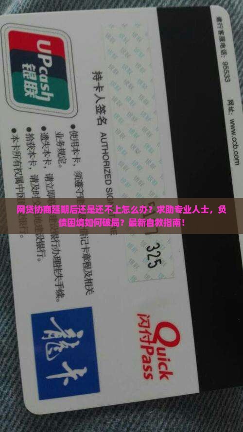 网贷协商延期后还是还不上怎么办求助专业人士
