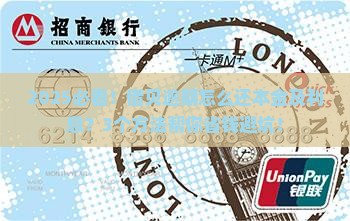 借贝逾期怎么还本金及利息
