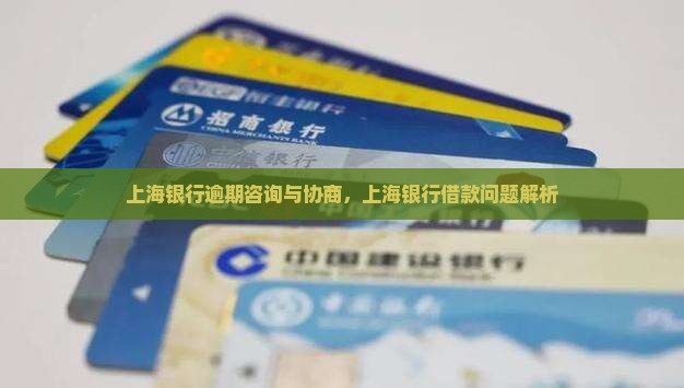上海银行借款逾期咨询