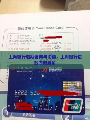 上海银行借款逾期咨询