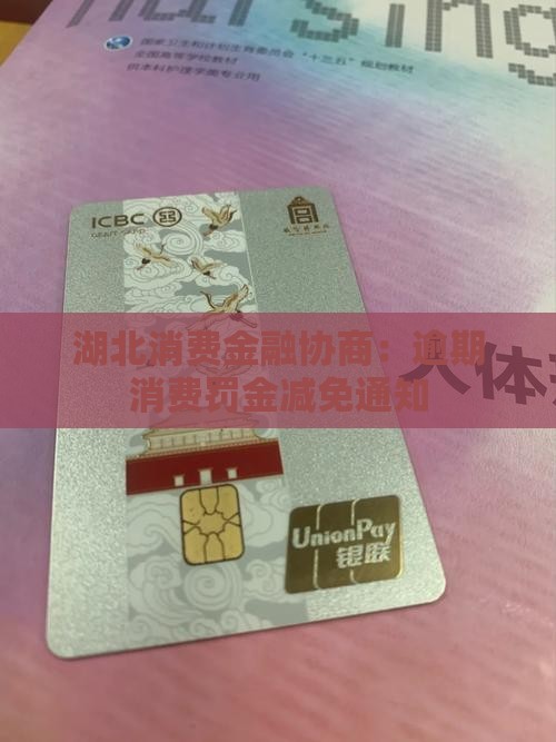 湖北消费金融协商降低罚金的通知