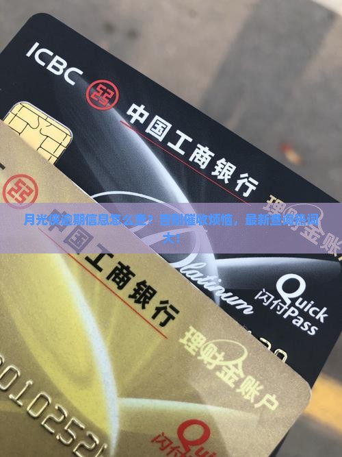 月光侠逾期信息查询方法