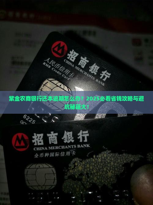 紫金农商银行还本逾期怎么办