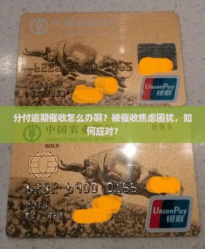分付逾期催收怎么办啊