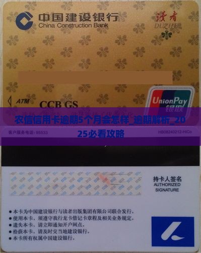 农信信用卡逾期5个月会怎样