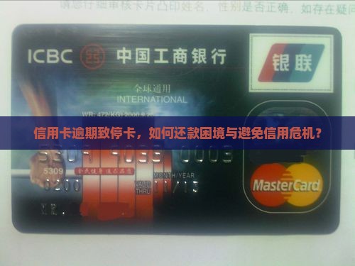 信用卡逾期致停卡，如何还款困境与避免信用危机？