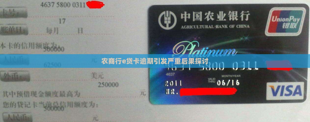 农商行e贷卡逾期引发严重后果探讨