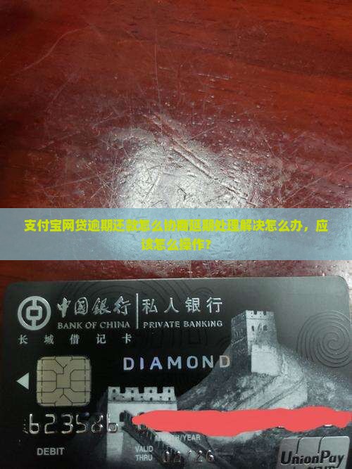 支付宝网贷逾期还款怎么协商延期处理解决怎么办，应该怎么操作？