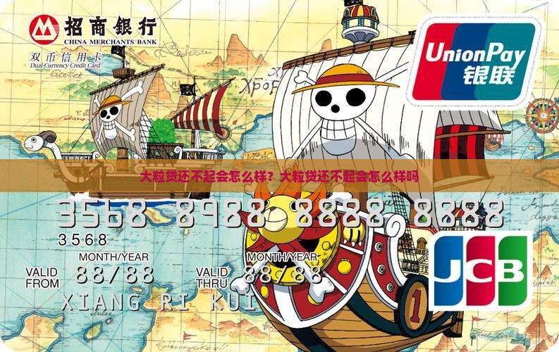 大粒贷还不起会怎么样？大粒贷还不起会怎么样吗