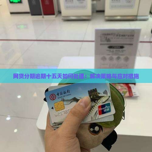网贷分期逾期十五天如何处理：解决策略与应对措施