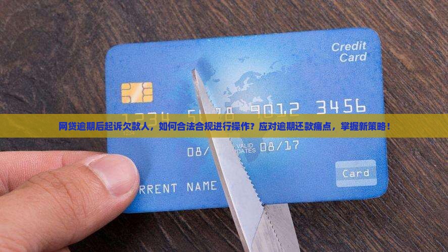 网贷逾期后起诉欠款人，如何合法合规进行操作？应对逾期还款痛点，掌握新策略！