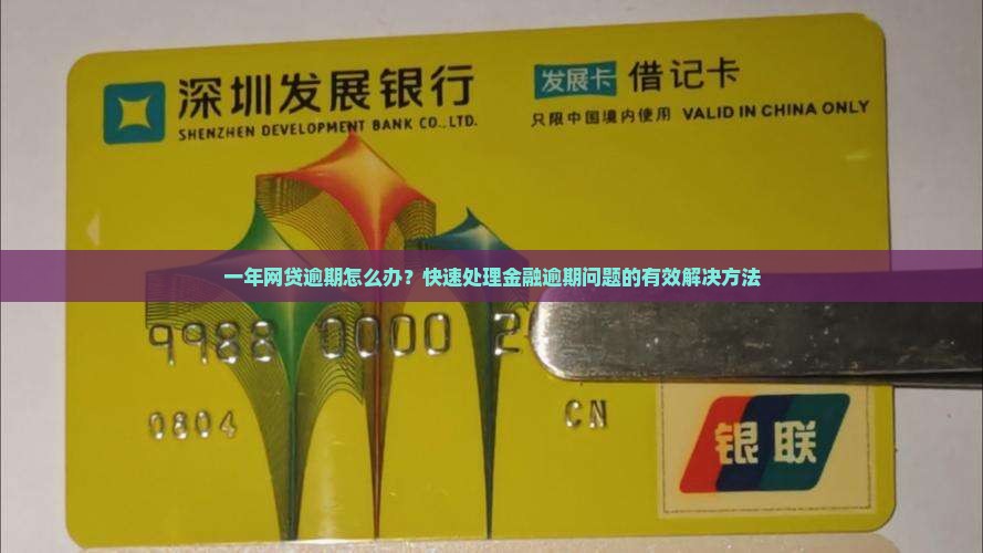一年网贷逾期怎么办？快速处理金融逾期问题的有效解决方法