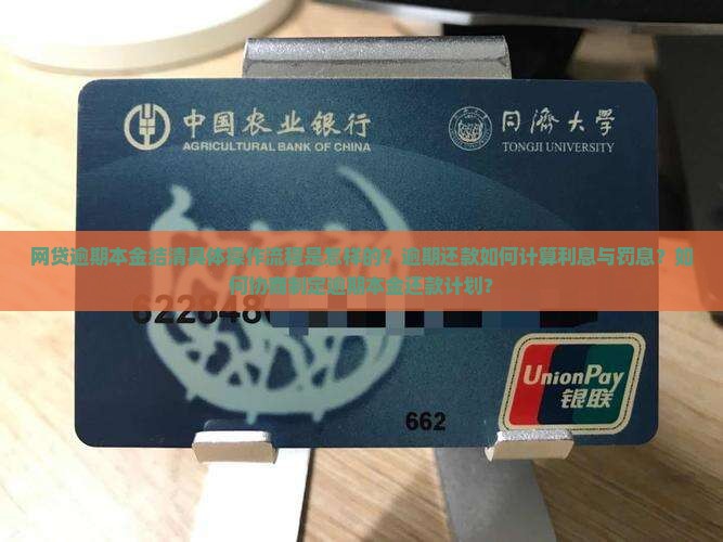 网贷逾期本金结清具体操作流程是怎样的？逾期还款如何计算利息与罚息？如何协商制定逾期本金还款计划？