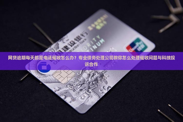 网贷逾期每天都是电话催收怎么办？专业债务处理公司教你怎么处理催收问题与科技投诉合作