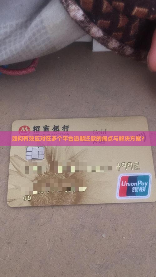 如何有效应对在多个平台逾期还款的痛点与解决方案？