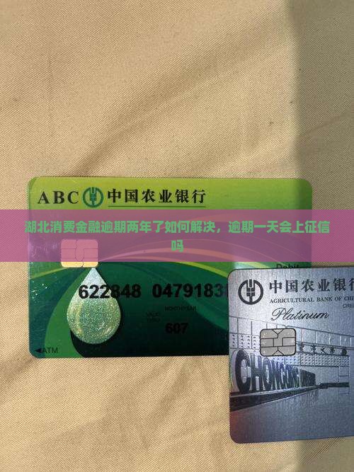 湖北消费金融逾期两年了如何解决，逾期一天会上征信吗