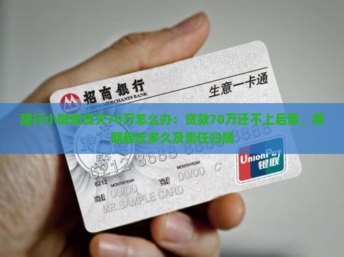 建行小微快贷欠70万怎么办：贷款70万还不上后果、展期最长多久及责任归属