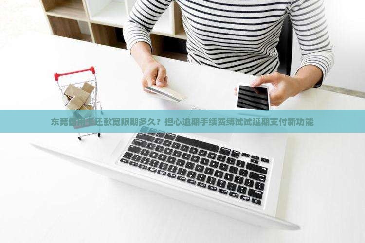 东莞信用卡还款宽限期多久?担心逾期手续费缚试试延期支付新功能 东莞信用卡还款宽限期多久?担心逾期手续费缚试试延期支付新功能