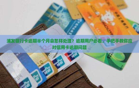 浦发银行卡逾期半个月会怎样处理？逾期用户必看，手把手教你应对信用卡逾期问题