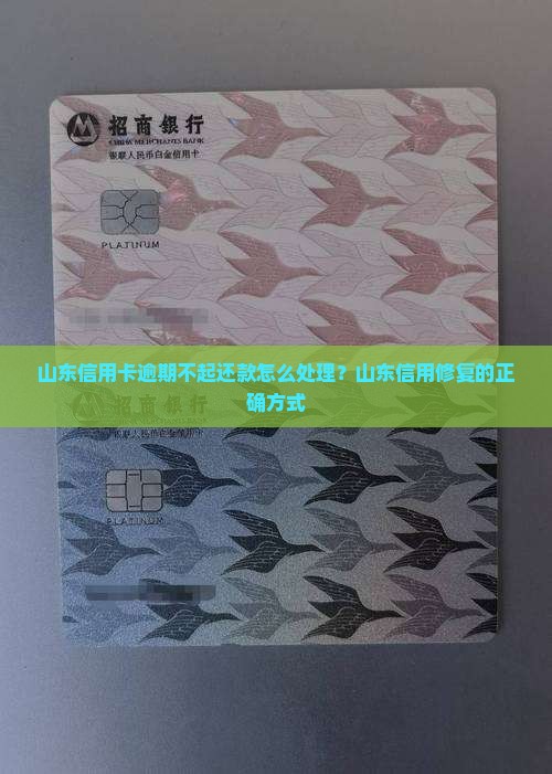 山东信用卡逾期不起还款怎么处理？山东信用修复的正确方式