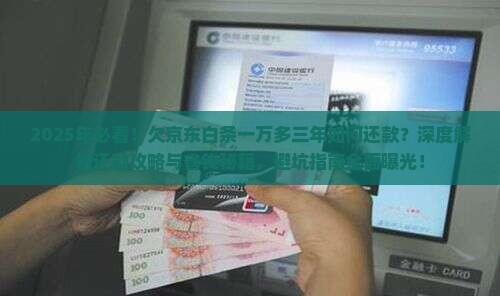 欠京东白条一万多三年如何还款