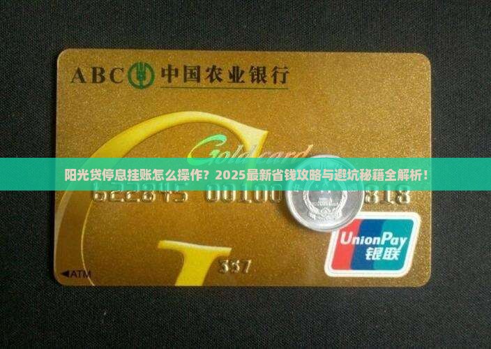 阳光贷停息挂账怎么操作流程详解