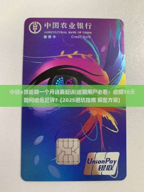 中银e贷逾期一个月说要起诉