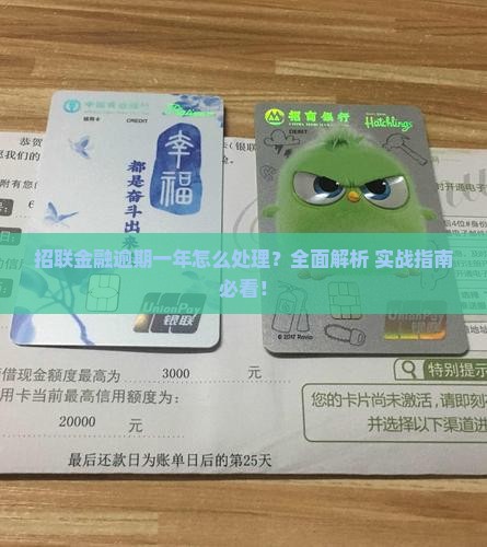 招联借款逾期一年怎么办