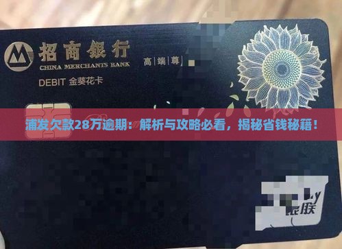 浦发欠款28万