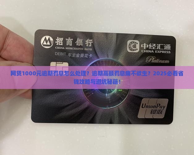 网贷1000元逾期罚息怎么处理