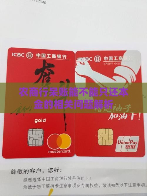 农商行呆账能不能只还本金的相关问题解析