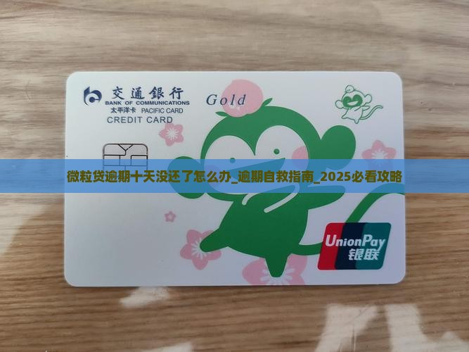 微粒贷逾期十天没还了怎么办
