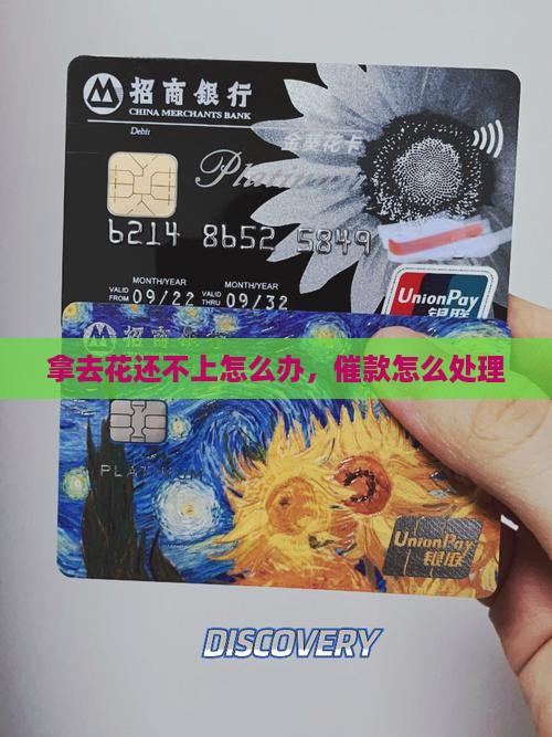 拿去花还不上怎么办