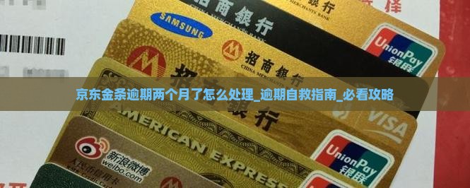 京东金条逾期两个月了怎么处理