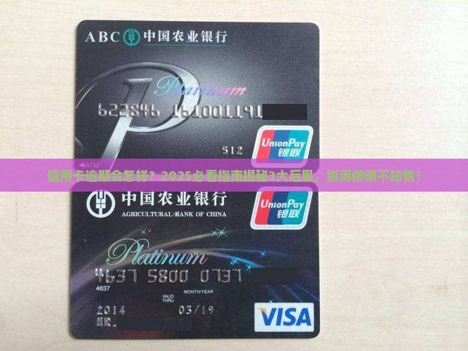 信用卡逾期的后果会怎样 信用卡逾期的后果会怎样