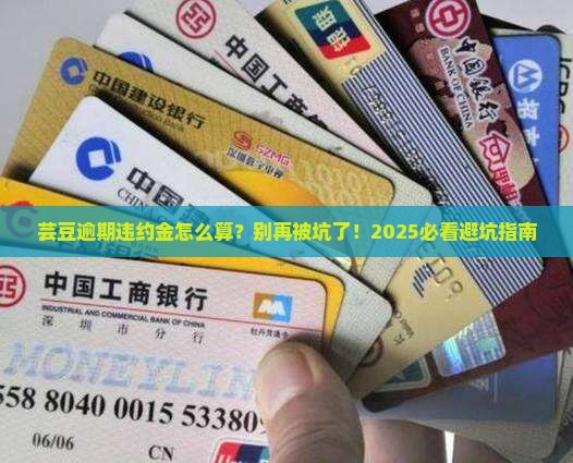 芸豆逾期违约金