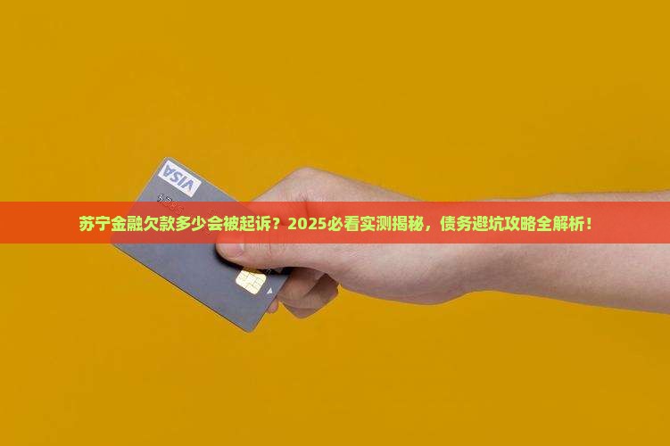 苏宁金融欠款多少会被起诉