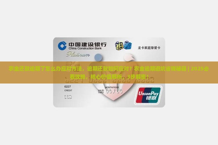 农金还款逾期了怎么办应对方法
