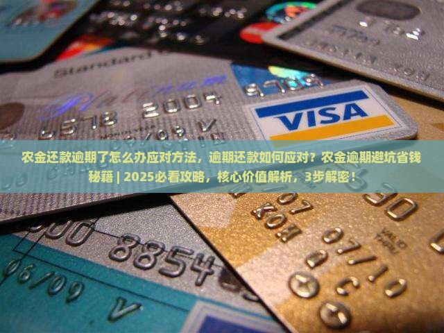 农金还款逾期了怎么办应对方法